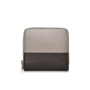 Celine Small Zip Wallet in Dual Tone Grey